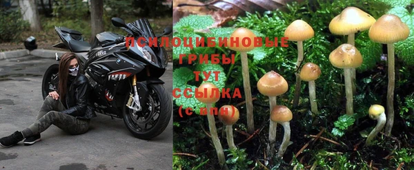2c-b Балахна