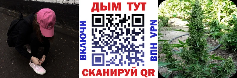 Бошки Шишки план Купить закладки Чистополь
